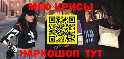 шишки Кингисепп