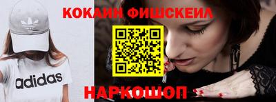 шишки Кингисепп