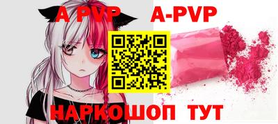 шишки Кингисепп