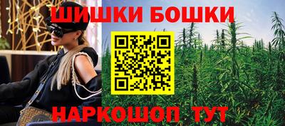 шишки Кингисепп