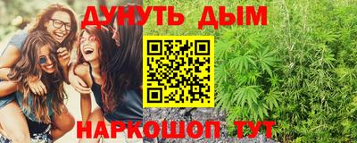 шишки Кингисепп