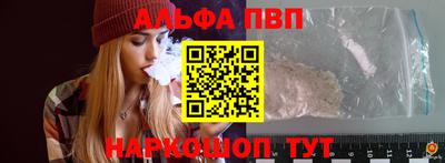 шишки Кингисепп