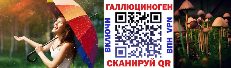 Галлюциногенные грибы GOLDEN TEACHER  маркетплейс состав  Заречный  что такое наркотик 