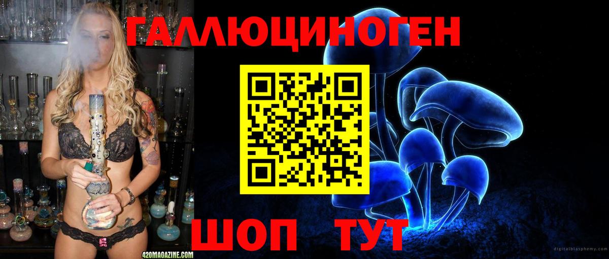 Галлюциногенные грибы Psilocybine cubensis Заречный